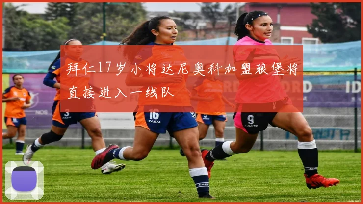 拜仁17岁小将达尼奥科加盟狼堡将直接进入一线队